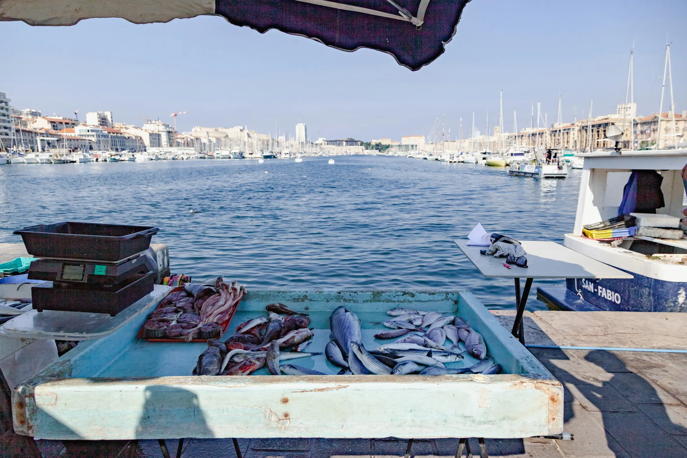 The Vieux-Port of Marseille seen across calm blue water crowded with hundreds of sailboat masts and honey-toned harbour buildings, framed by a quayside fishmonger's tray of the morning's catch in the foreground.