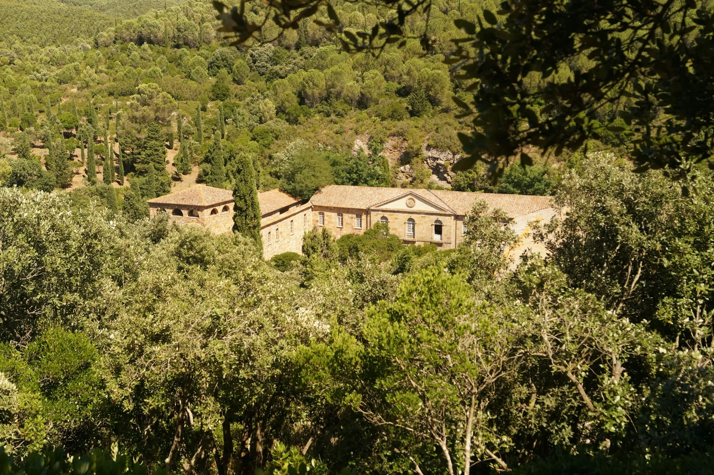 The honey-stone Abbaye de Fontfroide, a Cistercian abbey tucked into cypress-and-garrigue wooded hills a short drive southwest of Narbonne, glowing in Mediterranean summer sun