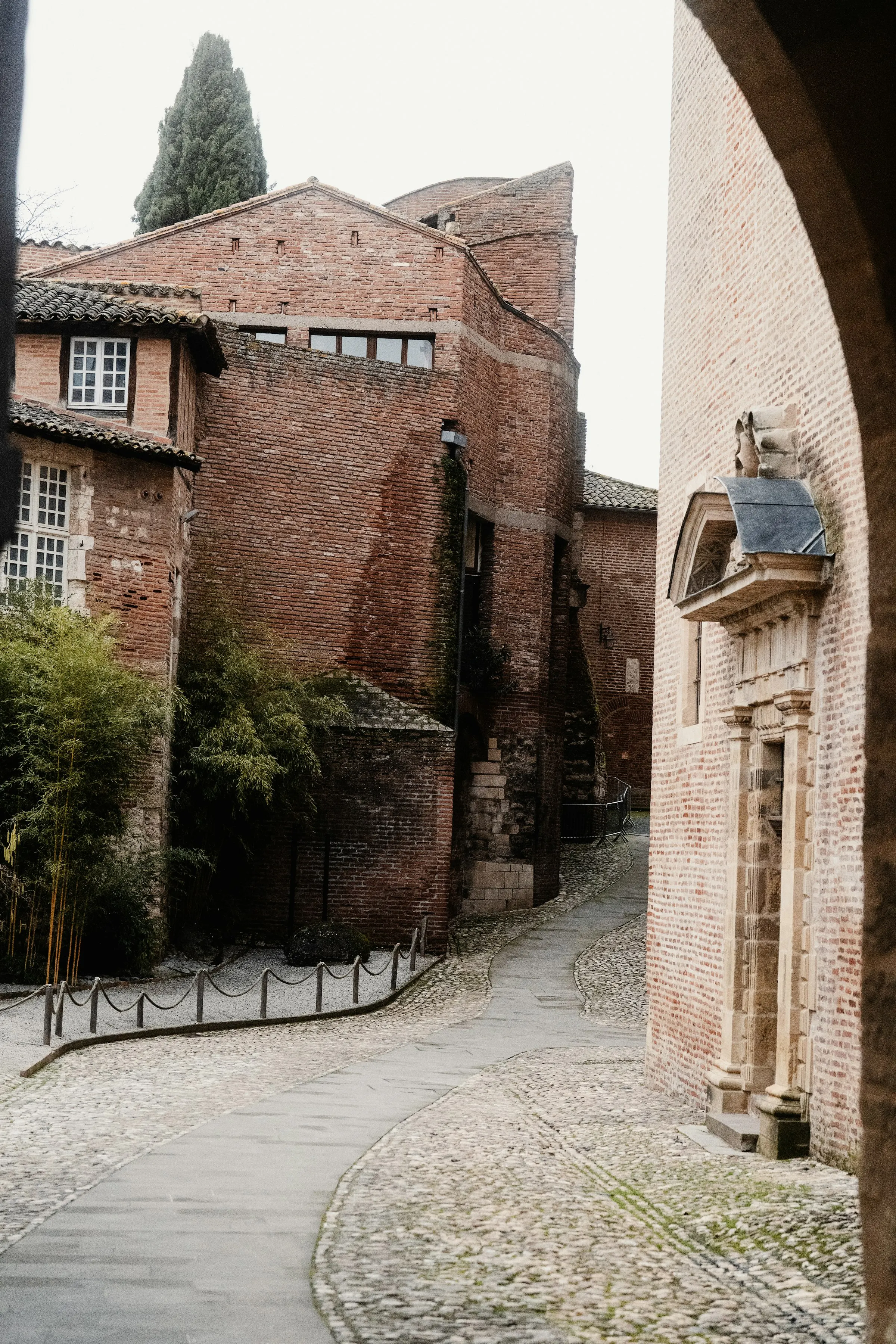 A quiet cobbled old-town lane in Albi lined with warm red-brick houses and tiled roofs, a tall cypress and a bamboo garden beside the path.