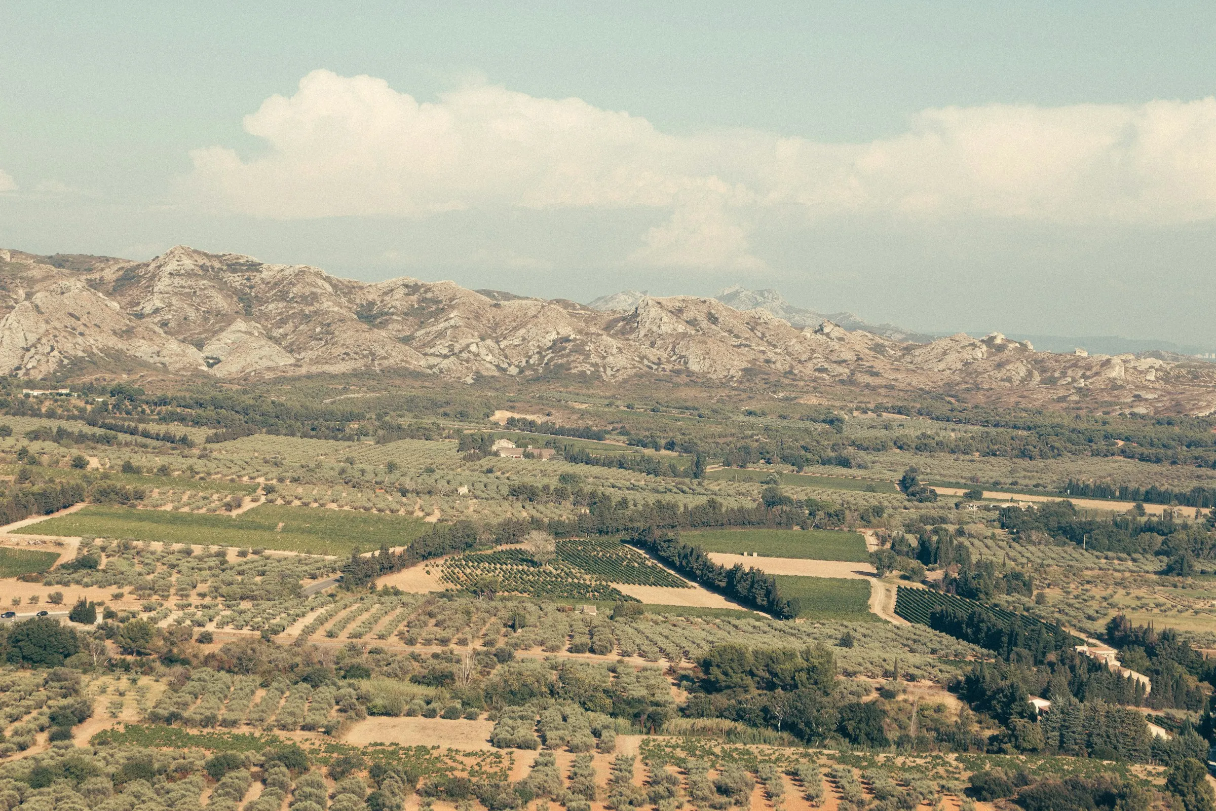 A sweeping view over the olive groves, vineyards and cypress rows of the Alpilles countryside just outside Saint-Remy-de-Provence, backed by the pale limestone crest of the hills.