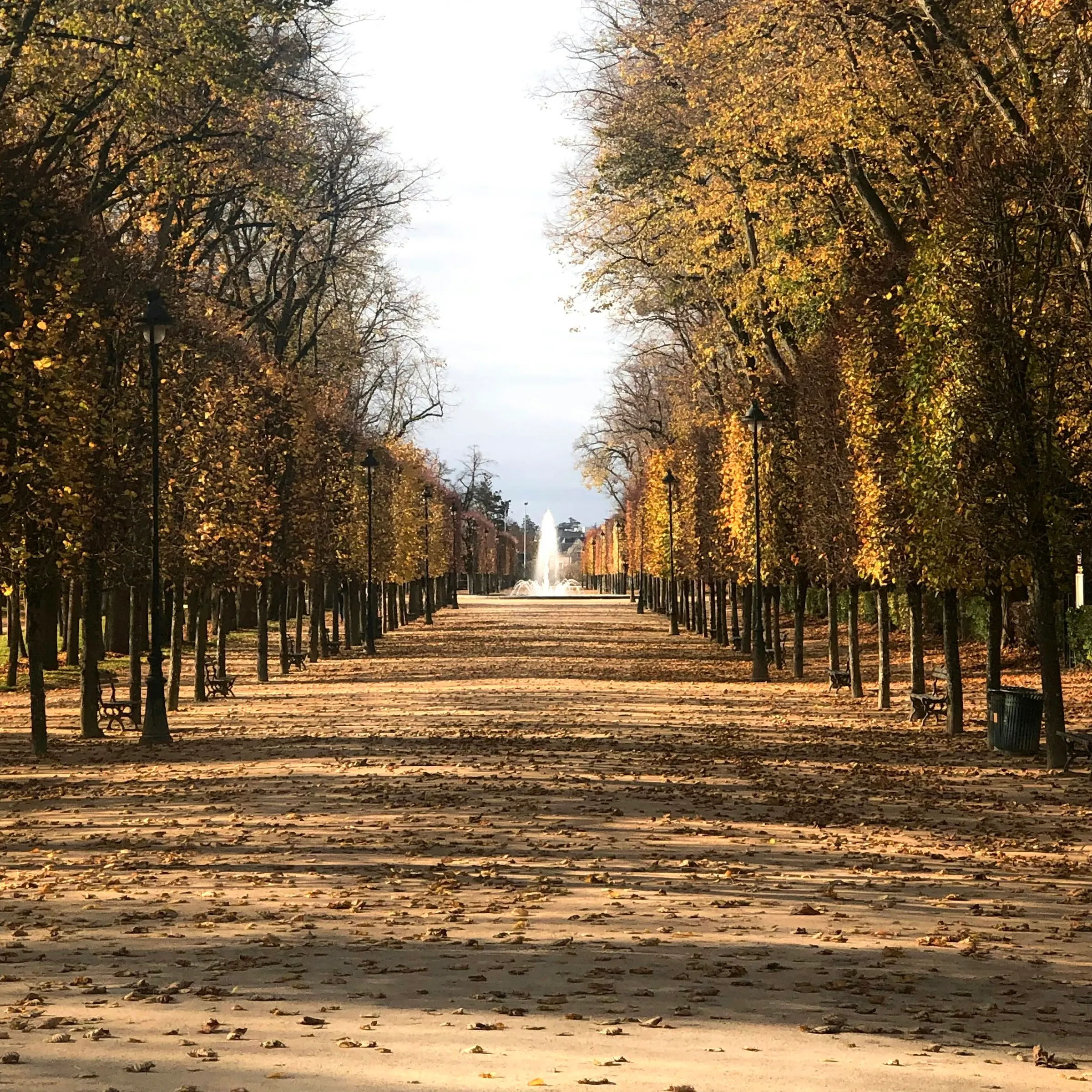 A tree-lined promenade carpeted in golden autumn leaves leading to a jet fountain in the Parc de Blossac, Poitiers' grand historic public garden.