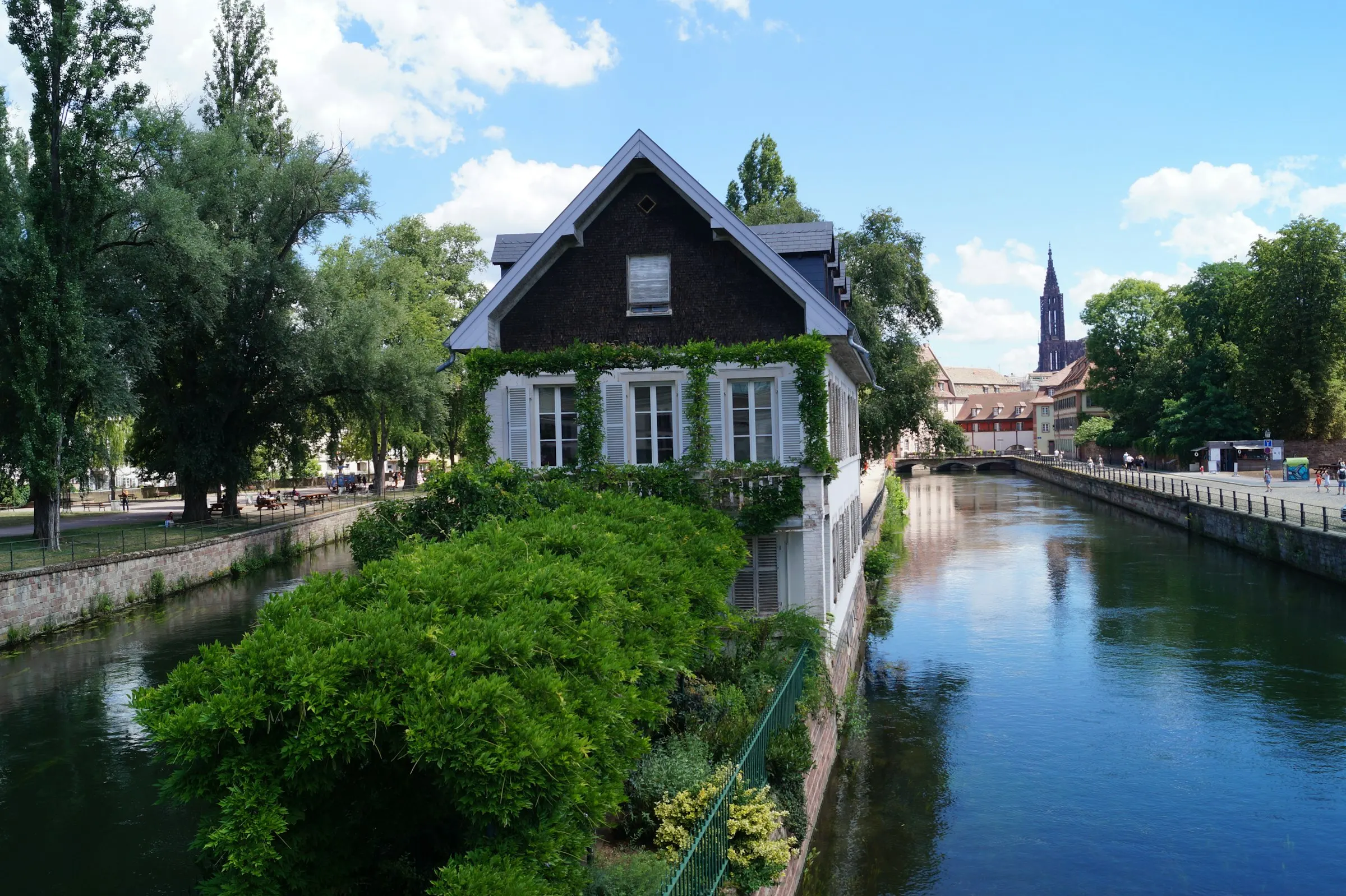 An ivy-clad house on the Ill in Strasbourg with the cathedral spire rising in the distance