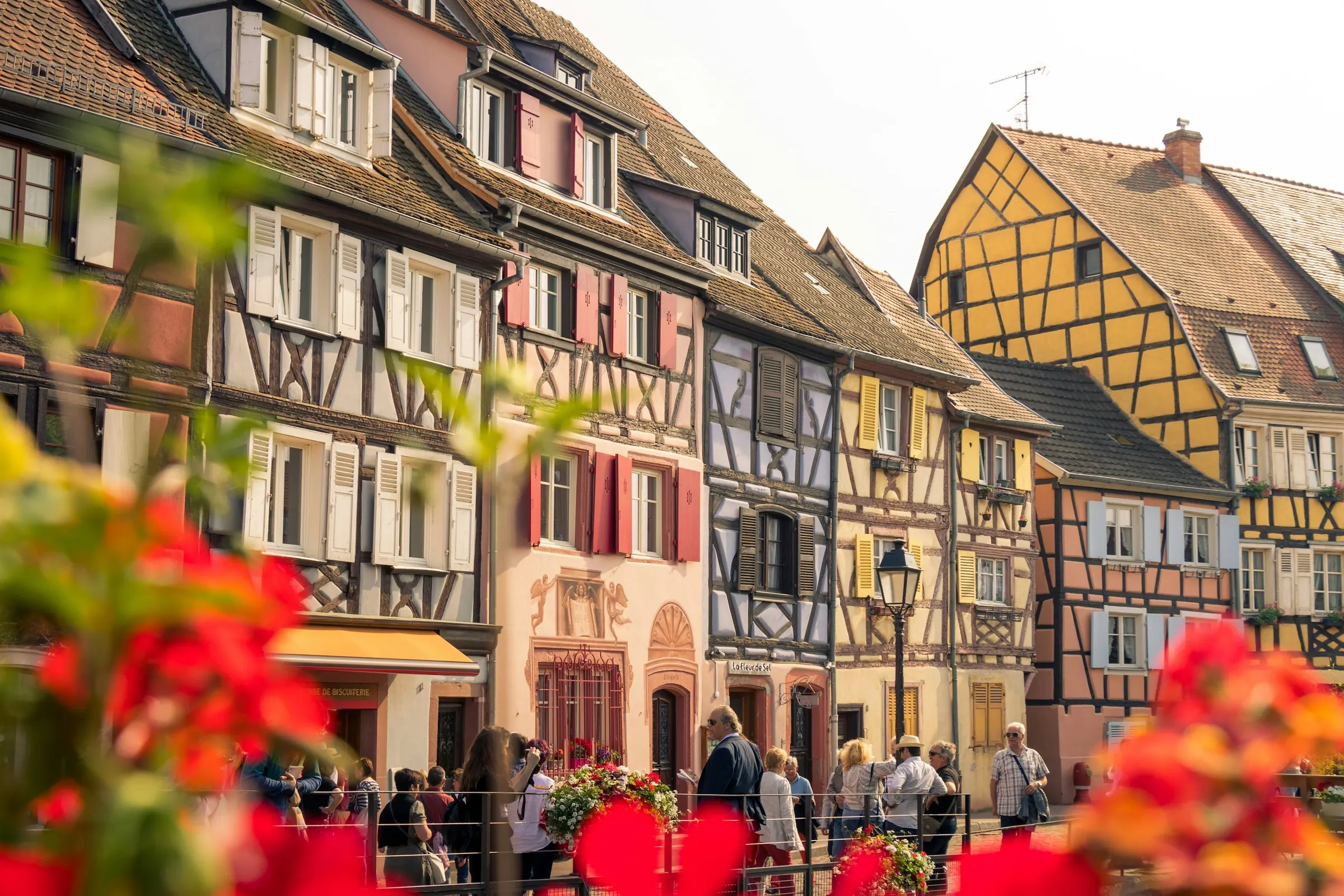 Visitors strolling past the colourful timbered houses of Colmar old town, red geraniums in the foreground