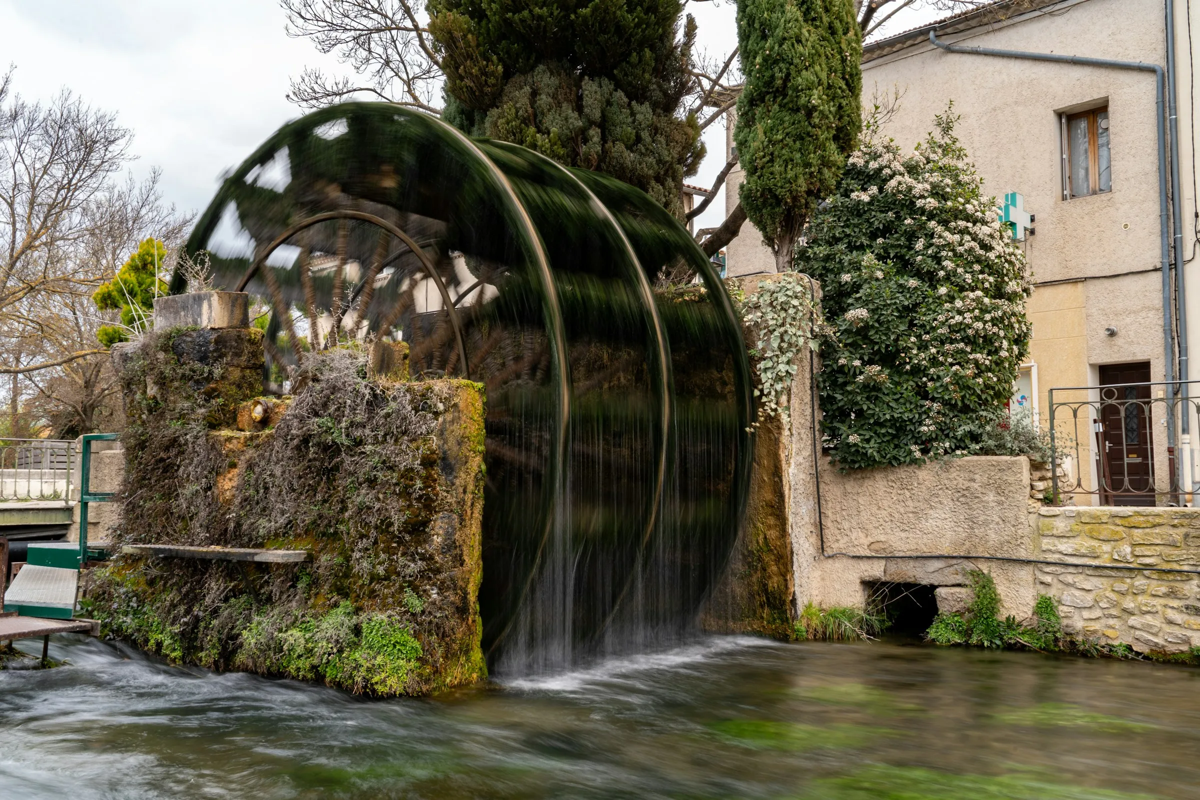 A large moss-covered wooden waterwheel turning on the clear green Sorgue, water sheeting off its blades, framed by cypresses and a pale Provencal house with a green pharmacy cross - the signature sight of L'Isle-sur-la-Sorgue.