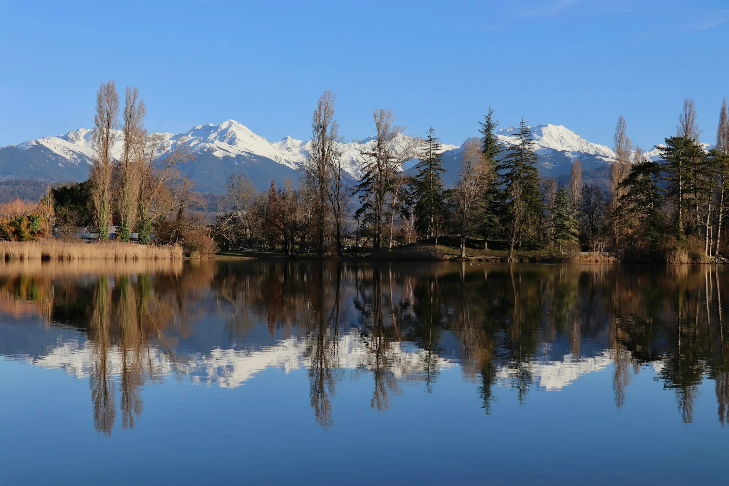 The snow-capped peaks of the Savoie Alps mirrored in the calm surface of a lake just outside Chambery, fringed by bare winter trees and evergreens under a clear blue sky.