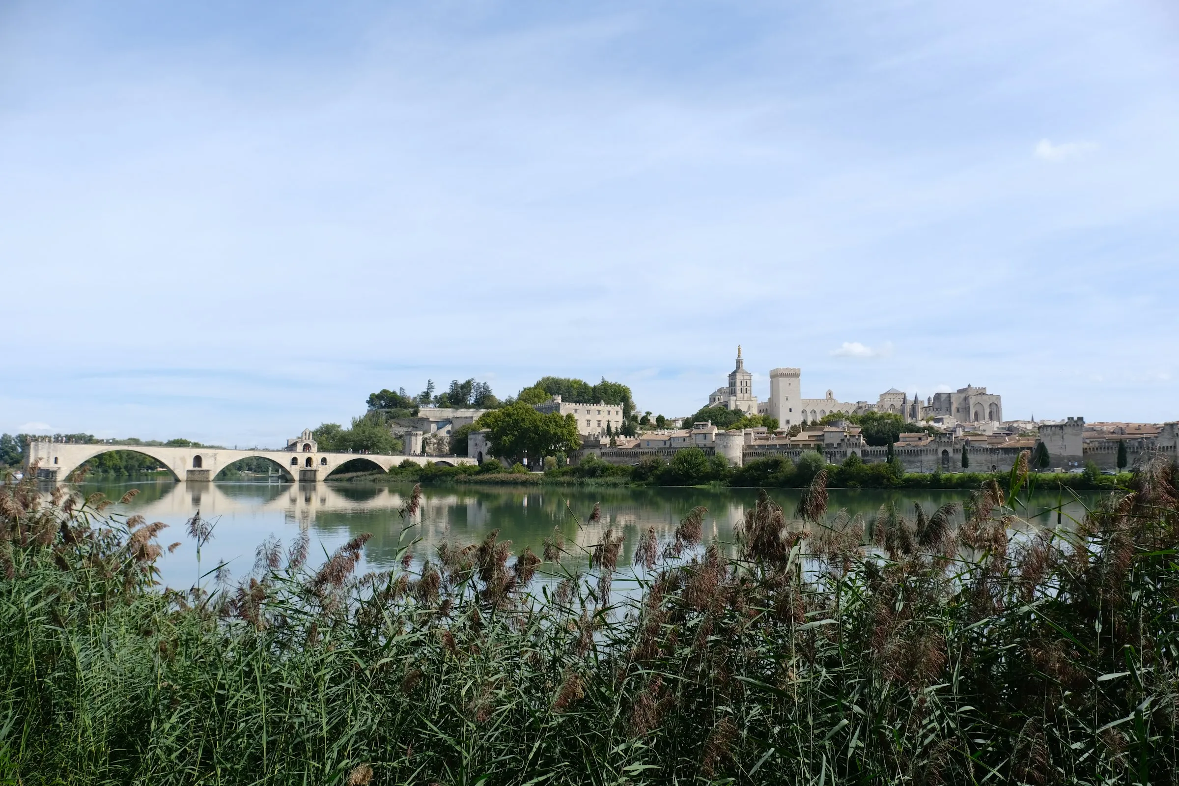 The walled city of Avignon seen across the calm Rhone from a reedy far bank, the surviving stone arches of the Pont Saint-Benezet at left and the Palais des Papes with the gilded Madonna atop Notre-Dame des Doms rising above the ramparts, all mirrored in the water under a soft blue sky.