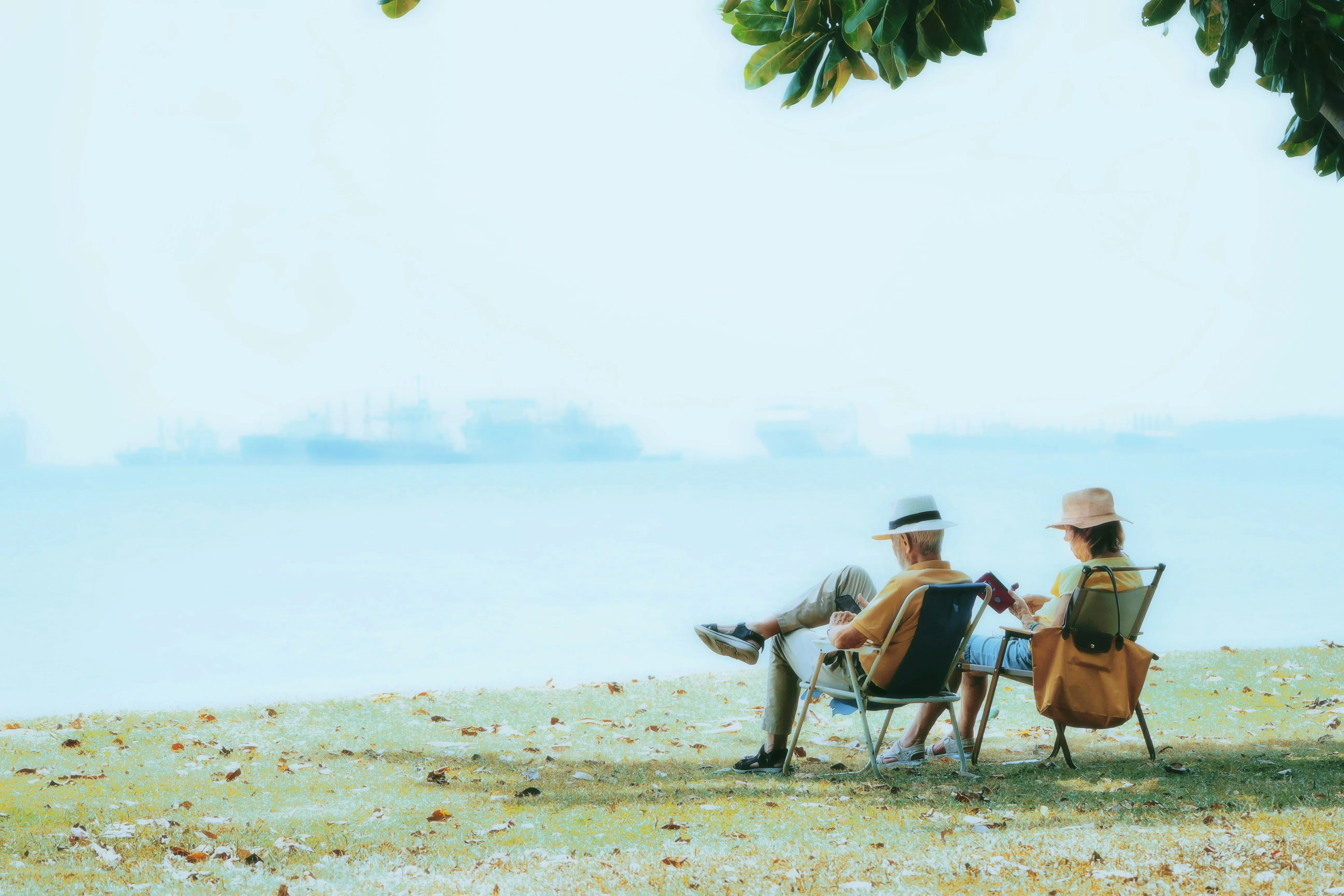 A couple reading in folding chairs under a tree at the shore, ships on the horizon